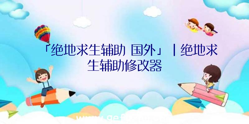 「绝地求生辅助